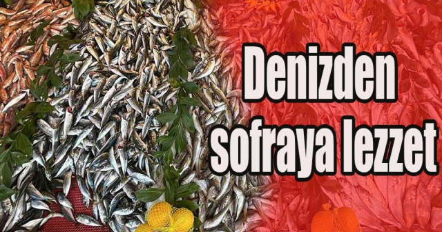 Ordu’da Balık Fiyatları Tezgahlarda