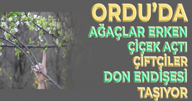 Ordu’da Yalancı Bahar: Erken Çiçek Açan Ağaçlar Risk Altında