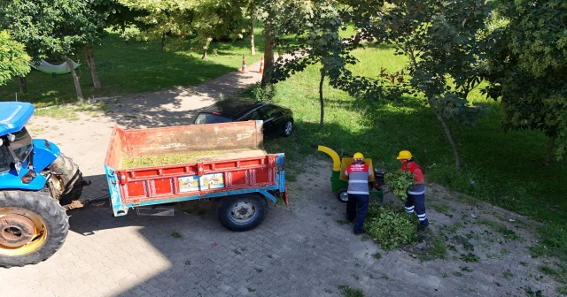 Ordu, Organik Atıkları Doğa Dostu Yöntemle Değerlendiriyor