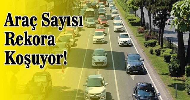 Ordu'da Araç Sayısı Kaç?