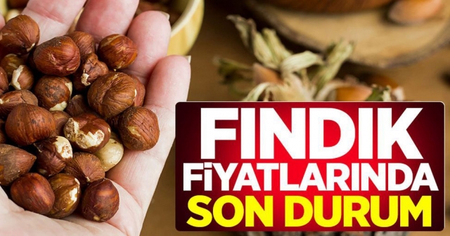 Fındık Pazarında Son Durum