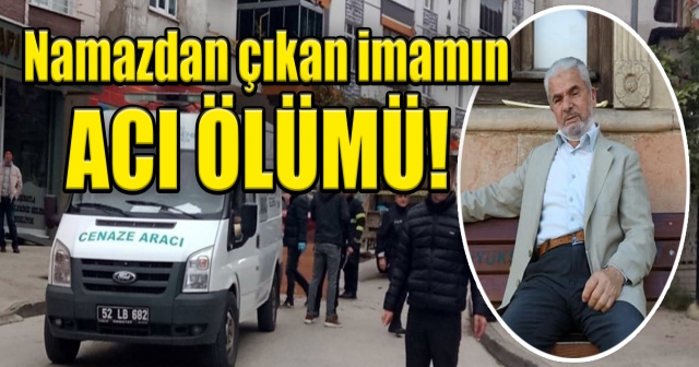 Ordu'da çöp kamyonunun çarptığı kişi öldü