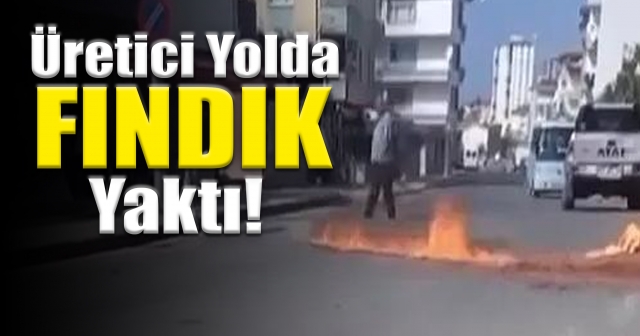 Ordu'da Fındık İsyanı