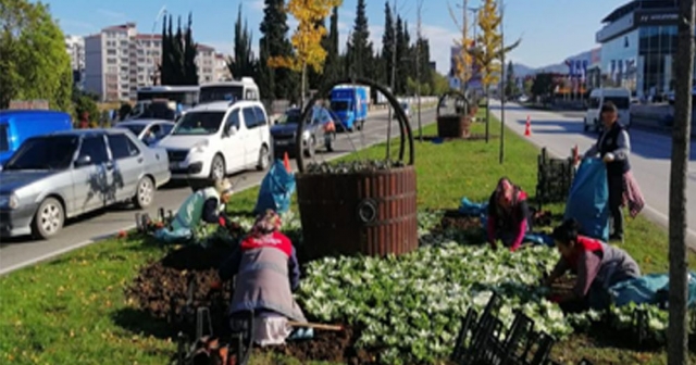 Ordu'yu Yeşile Bürüyen Dev Adım