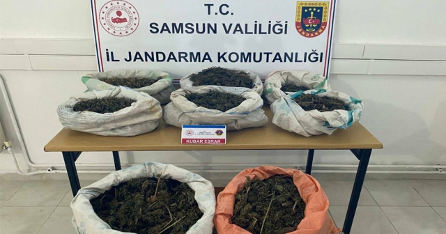 Ormanlık alana gizlenmiş 8 kilo 525 gram esrar bulundu