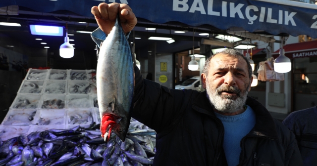 Palamut yüz güldürdü