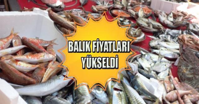 Perşembe’de Balık Fiyatları Yükseldi