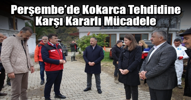 Perşembe'de Kokarca İle Mücadele Devam Ediyor