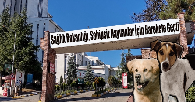 Sağlık Bakanlığı’ndan Sahipsiz Hayvanlara Karşı Tedbir!