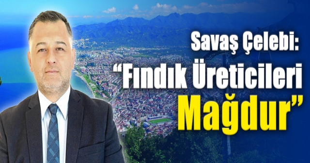 Savaş Çelebi: "Fındık Üreticileri Mağdur"