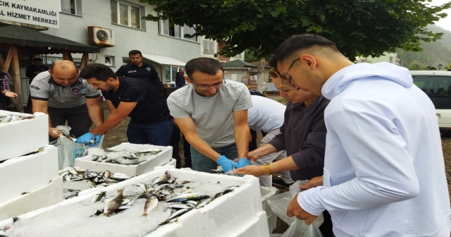 Sinop’ta Yakalanan Yasa dışı 70 Kasa Balık Halka Dağıtıldı