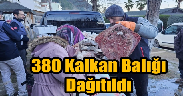 Sinop'ta Kaçak Avlanan 380 Kalkan Balığı Ele Geçirildi