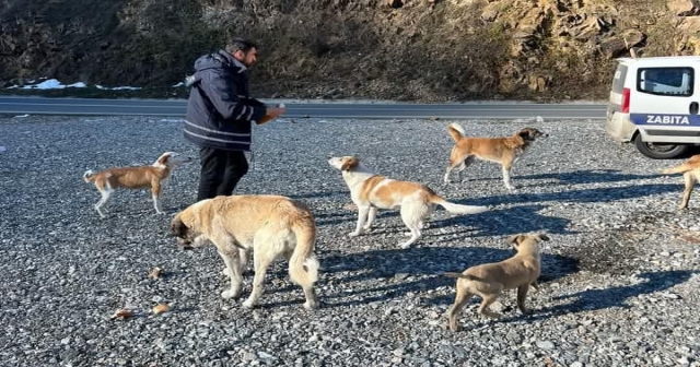 Sokak Hayvanları Unutulmuyor