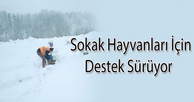 Sokak Hayvanlarına Destek Sürekliği Sağlanıyor