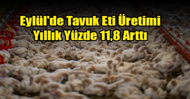 Tavuk eti üretimi azaldı