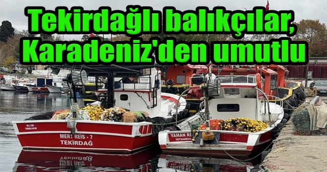 Tekirdağlı Balıkçılar, Hamsi ve İstavrit İçin Karadeniz'e Açılacak