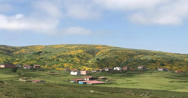 THY Genel Müdürü’nden Perşembe Yaylası Paylaşımı