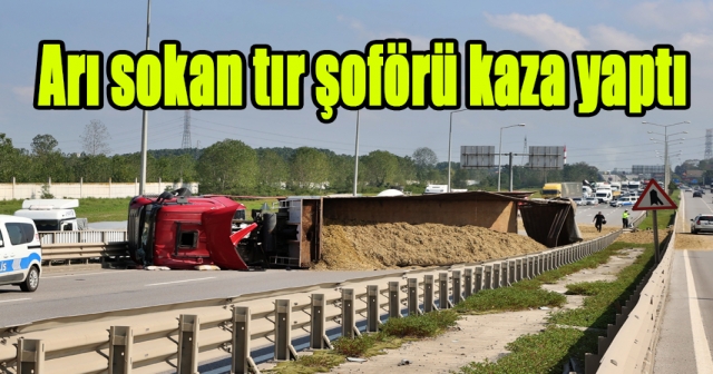 Tır Devrildi, Şoför Yaralandı