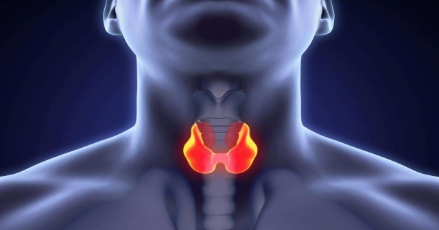 Tiroidiniz bulmacanın eksik parçası olabilir