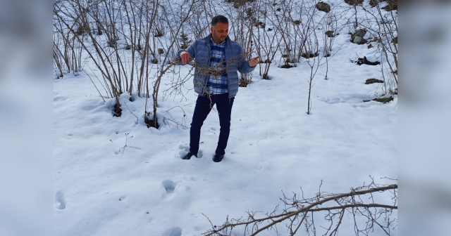 Ulubey Ziraat Odası Başkanı, Kar ve Soğuk Etkisi Üzerine Açıklama Yaptı