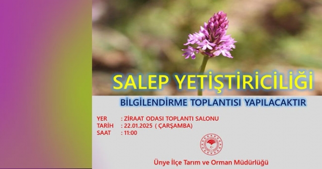 Ünye’de Salep Yetiştiriciliği Eğitimi Gerçekleşecek