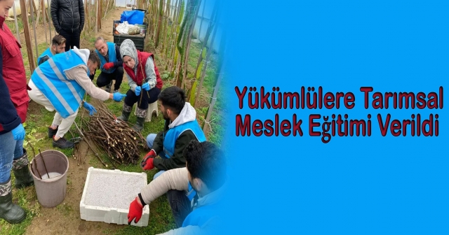 Ünye'de Yükümlülere Tarımsal Eğitim