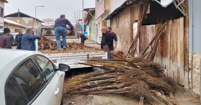 Üreticilere 1070 ceviz fidanı dağıtıldı