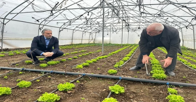 Üretimde Yeni Bir Dönem: Seradan Tonlarca Ürün