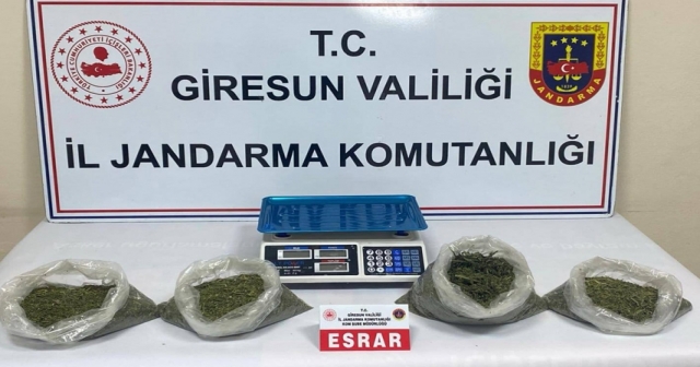 Uyuşturucu operasyonunda 2 zanlı tutuklandı