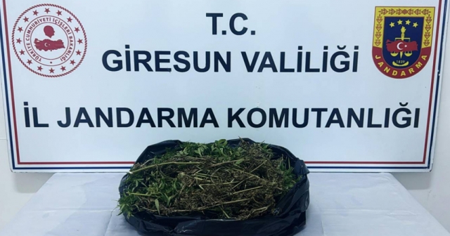 Uyuşturucu operasyonunda bir kişi tutuklandı