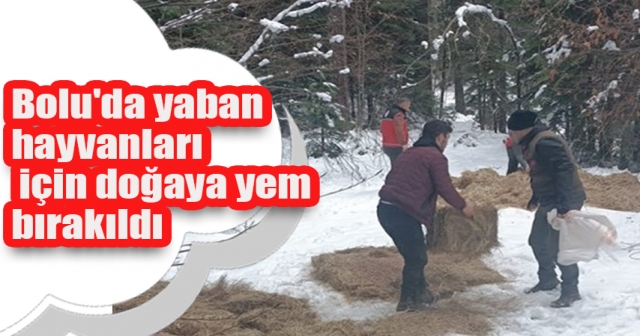 Yaban Hayvanları İçin Doğaya Yem Bırakıldı