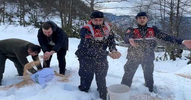 Yaban hayvanları için doğaya yem bırakıldı