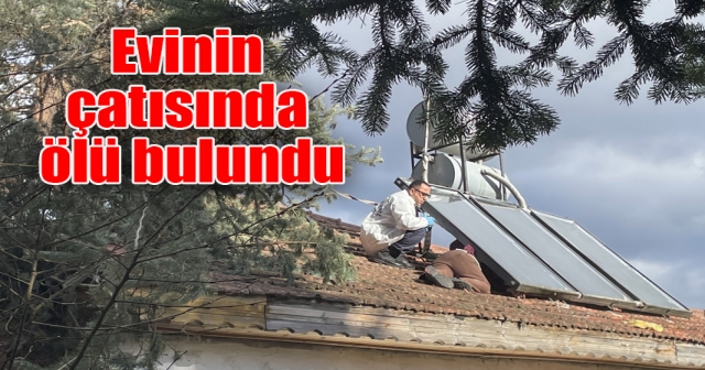 Yaşlı adam, devrilen ağacı kesmek için çatıya çıktı