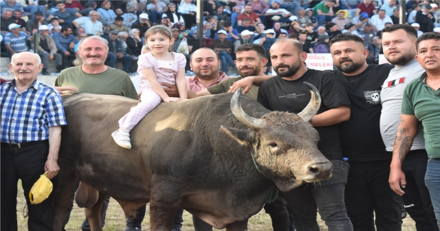 Yusufeli’nde 116 Boğa Güreşti…