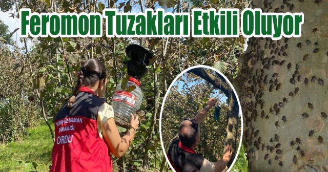 Zararlılar Kışlaklara Girmeden Kontrol Edilecek