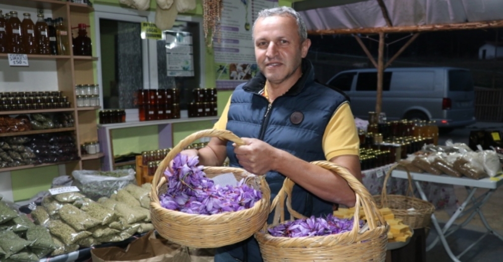 Karabük'te Safran Üretimi Devam Ediyor