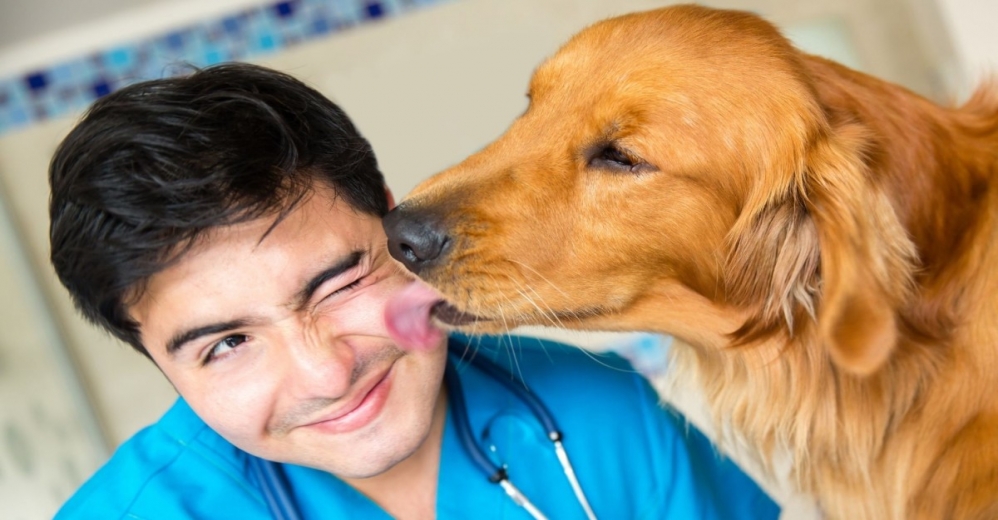 Köpeklerdeki Mantar Hastalığı İnsanlara Bulaşabilir!