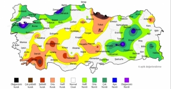 Samsun, Ordu, Antalya ve Muğla En Yoğun Kuraklığı Yaşıyor!