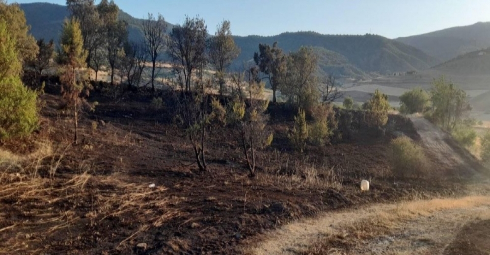 Uyarılara Rağmen, Mangal Yaparken Yangın Çıkardılar..