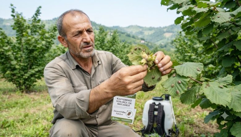 Çotanaklarda Tehlike Başladı!