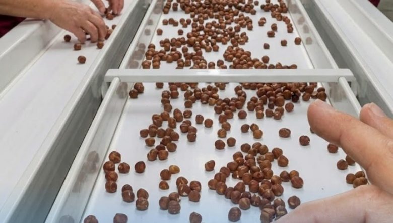 İSO İkinci 500 Listesinde Ordu’nun Fındık Gücü