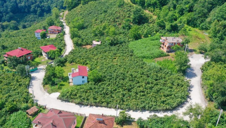 Çaybaşı'nda Yol Sorunu Tarih Oluyor