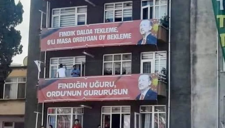 Ordu'da Yine Aynı Senaryo: Fındık Var, Kazanç Yok!