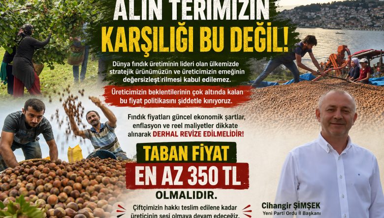 ŞİMŞEK ELEŞTİRDİ