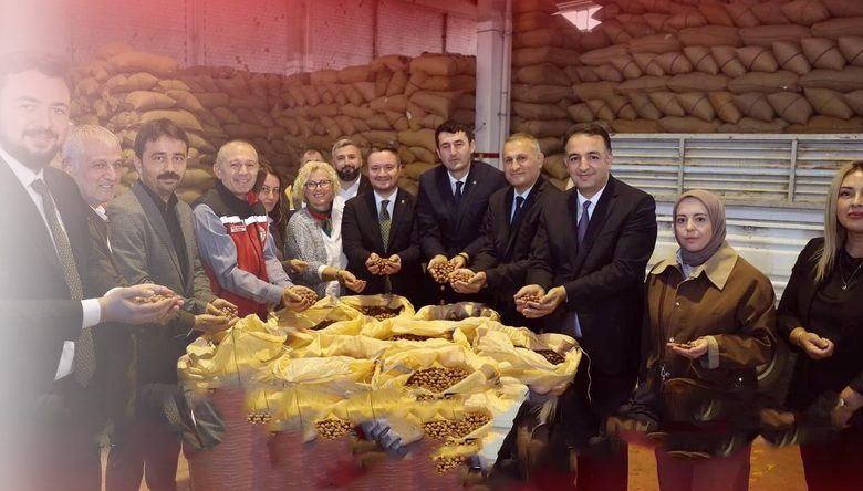 ORDU’DA FINDIK ÜRETİCİSİ TMO’YA YÖNELDİ