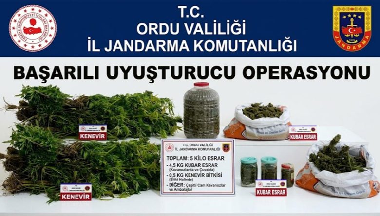 Ordu’da Uyuşturucu Operasyonu! 5 Kilo Esrar ve 22 Kök Kenevir Ele Geçirildi