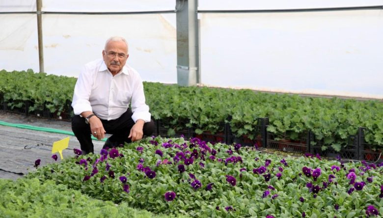 ORDU’DA 550 BİN ÇİÇEK TOPRAKLA BULUŞACAK!