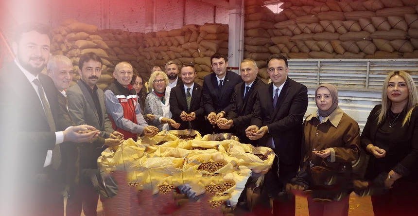 ORDU’DA FINDIK ÜRETİCİSİ TMO’YA YÖNELDİ