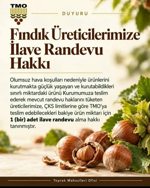 TMO’DAN FINDIK ÜRETİCİLERİNE RANDEVU MÜJDESİ